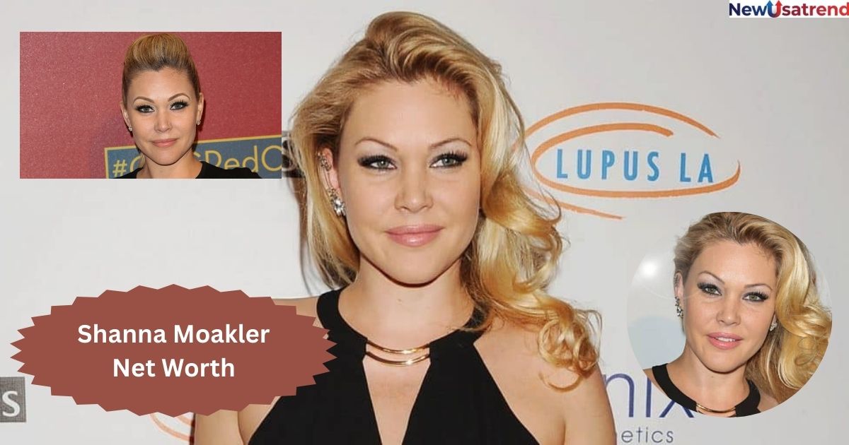 Shanna Moakler Net Worth