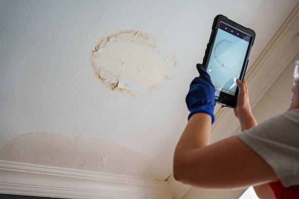 The Role of Plumbing Services in Preventing Foundation Problems The Role of Plumbing Services in Preventing Foundation Problems